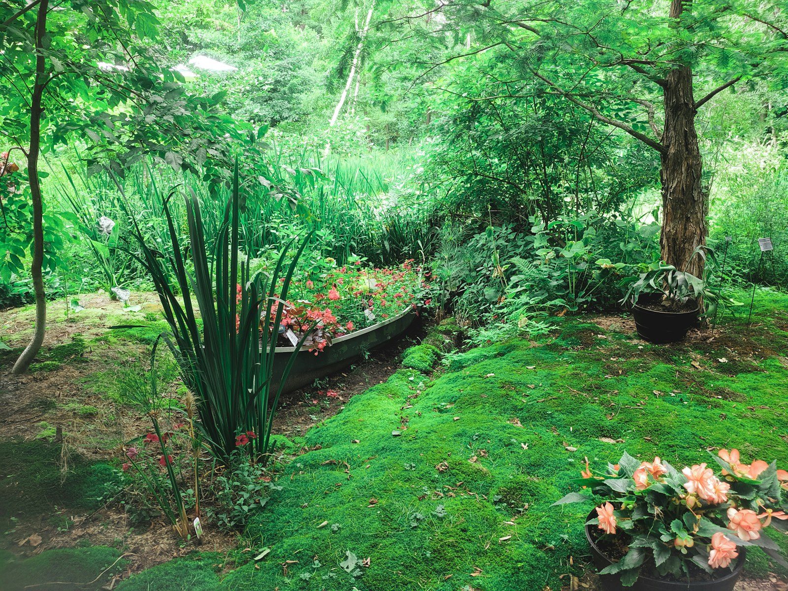 Green & tidy, illustrative photo