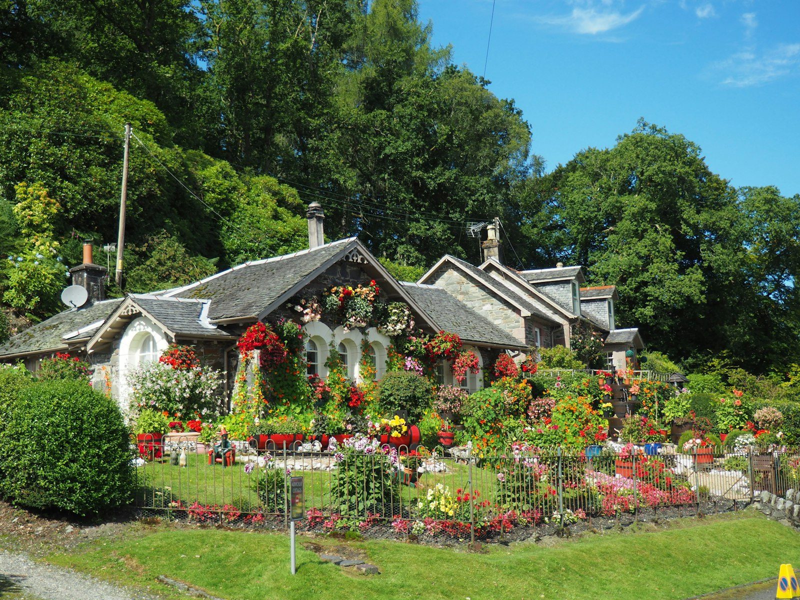 Lawn detail, illustrative photo